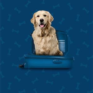 Pet Friendly Hotel ILUNION Auditori Barcelona