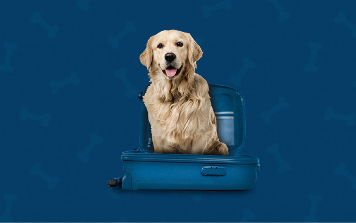 Somos pet friendly Hotel ILUNION Auditori Barcelona Somos pet friendly Hotel ILUNION Auditori Barcelona